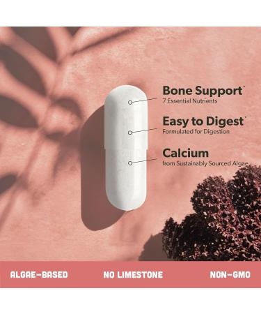 Algae Calcium & Vegan Omega 3 & Vitamin B Complex Bundle - Calcium Supplement from Red Algae Plant Based DHA & EPA Fatty Acids Essential B Vitamins - Buy Online on GoSupps.com