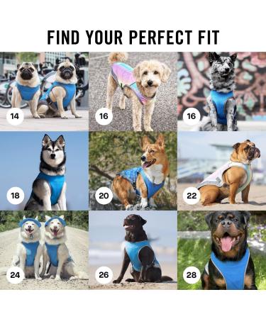 Canada Pooch Dog Cooling Vest - Breathable Mesh, Reflective Lining, Adjustable - Aqua, 18 (17-19) - Evaporative Cooling for Dogs - Buy Online on GoSupps.com