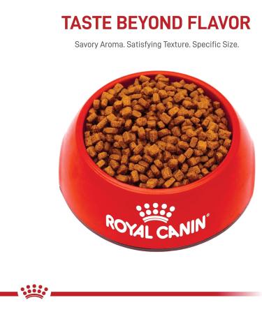 Royal Canin Chihuahua Puppy Dry Dog Food 1.5kg - Buy Online on GoSupps.com