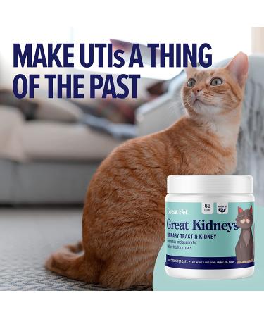Great Kidneys Natural Cat Kidney Support Treats - Chicken Flavor - Made in USA - Buy Online on GoSupps.com