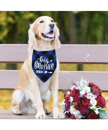 Big Brother Big Sister Dog Bandana | Pregnancy Announcement Plaid | Gender Reveal Photo Prop | Pet Scarf Accessories - Buy Online on GoSupps.com