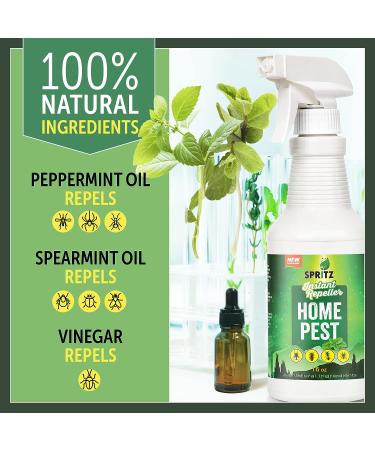 Peppermint Oil Bug Spray 16oz - Non-Toxic & Pet Safe Insect Repellent | Ant, Roach, Spider Control | Essential Oil Blend for Home Pest Control - Buy Online on GoSupps.com