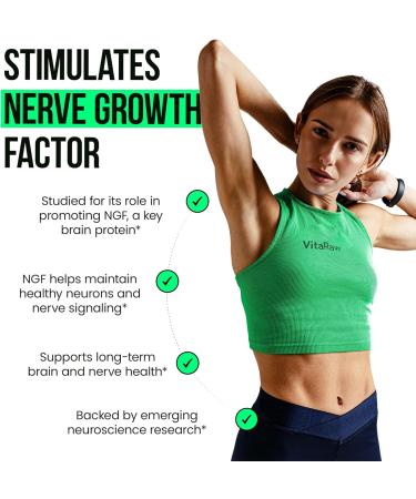 VitaRaw Lions Mane Mushroom + Irish Sea Moss - Brain Booster Memory & Energy + Immune Support Joint & Thyroid and Gut Health - Buy Online on GoSupps.com