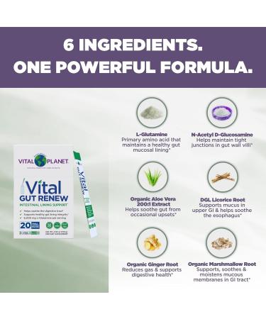 Vital Planet Gut Renew Powder Supplement - Leaky Gut Repair with L-Glutamine Marshmallow Ginger & Aloe Vera | 20 Single Serve Packs | International Shipping Available - Buy Online on GoSupps.com