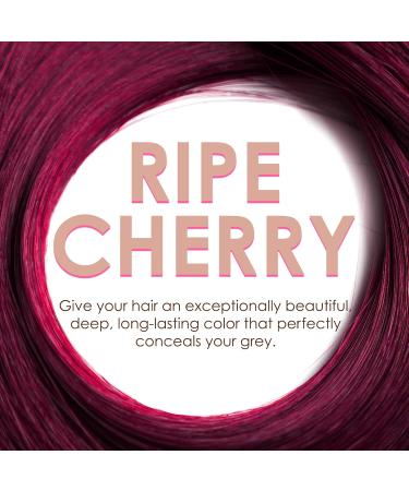 Joanna Naturia Color Permanent Hair Color Cream Goodness of Milk Proteins and Peach Extracts Premium-Quality Hair Dye Provides Soft and Lustrous Hair Long-Lasting Hair Colors Ripe Cherry - Buy Online on GoSupps.com