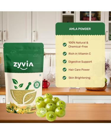 Amla Powder for Hair Growth & Skin Care | 100% Pure & Natural | Unpolished Herbal Powder (3.5 Ounces) 3.5 Ounce (Pack of 1) - Buy Online on GoSupps.com