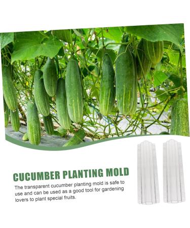 Kisangel 2pcs Vegetable Shaping Mold Plastic Fruit Flower Shaped Cucumber Molds Fruit Mold Picking Garden - Buy Online on GoSupps.com