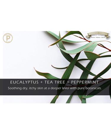 Eucalyptus Tea Tree Cream 4 oz - Intensive Moisture & Healing for Skin - Eczema, Ringworm, Dry & Chaffed Skin Relief - Nail and Toe Fungal Infections - Balm of Gilead - Buy Online on GoSupps.com