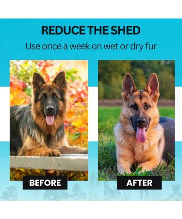 Candure Dematting Comb for Dog and Cat - Double Sided Deshedding Tool for Small, Medium & Large Dogs - Removes Knots and Tangled Hair - Blue - Buy Online on GoSupps.com