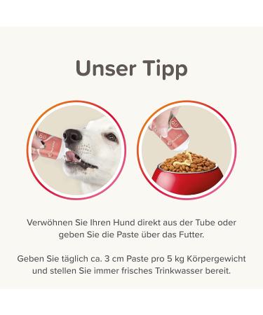 Beaphar Salmon Oil Paste for Dogs - Omega 3 & 6 - Grain-Free Sugar-Free - Healthy Skin & Beautiful Fur - 250g - Buy Online on GoSupps.com