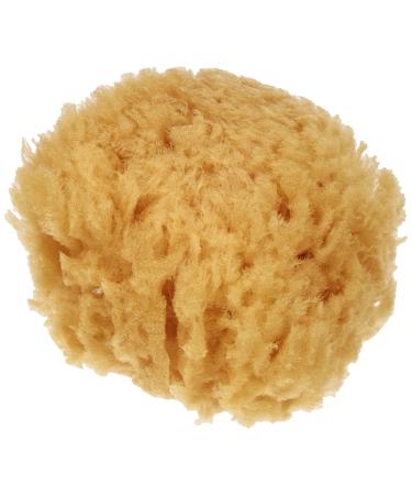 CROLL & DENECKE GP090 natural sponge sea sponge hand-finished from the sea 9 cm natural 1 piece