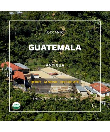 Organic Guatemala Antigua SHG EP Green Coffee Beans - 3 Lbs - Specialty Arabica - Fair Trade - Fresh Crop - Buy Online on GoSupps.com