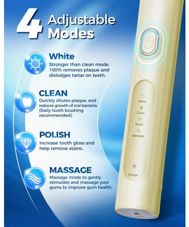 Rotering Electric Toothbrush for Adults - 8 Brush Heads 4 Modes Rechargeable 2-Minute Smart Timer - Quick Load Yellow - Buy Online on GoSupps.com