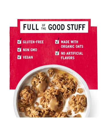 Purely Elizabeth Ancient Grain Granola Cranberry Pecan 12 Ounce - Buy Online on GoSupps.com