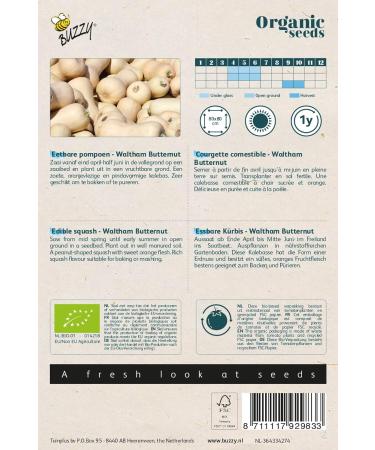 Buzzy Organic Edible Squash Waltham Butternut (BIO) - Content: Approx. 2 Grams - Buy Online on GoSupps.com