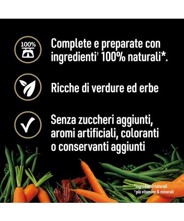 Cesar Natural Goodness Wet Dog Food with Beef & Vegetables - 6 Cans (400g Each) | 2.4kg Total - Premium Pet Nutrition - Buy Online on GoSupps.com