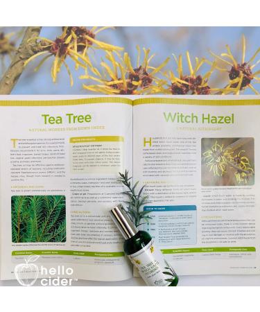 Buy Organic Tea Tree Witch Hazel Face Toner - Astringent Facial Spray for All Skin Types | Blemish Reduction & pH Restoration | Hello Cider - USA Small Business - Buy Online on GoSupps.com