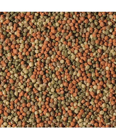 Tropical Pond Pellet Mix - Small - 650 g - Buy Online on GoSupps.com