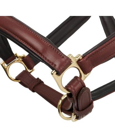LeMieux Anatomic Headcollar for Horses - Padded Leather & Metal Fittings - Adjustable Full Brown - Buy Online on GoSupps.com