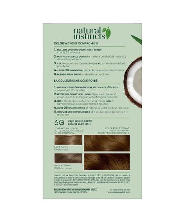 Clairol Natural Instincts Demi-Permanent Hair Dye 6G Light Golden Brown Hair Color 5.85 Fl Oz - Pack of 1 - Buy Online on GoSupps.com