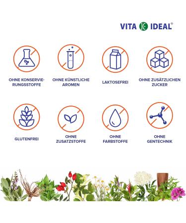 VITA IDEAL Orthosiphon Capsules - 360 Count | Pure Orthosiphon Stamineus Powder - Additive-Free Daily Dose of 540mg - Buy Online on GoSupps.com