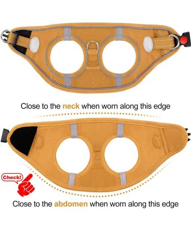 Joyal Reflective Dog Harness for Small Dogs - Soft Padded Air-Mesh Breast Dishes | Khaki Size S (38-42cm) - Ideal for Puppies - Buy Online on GoSupps.com