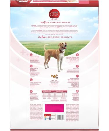 Purina ONE +Plus Dry Dog Food Digestive Health with Chicken - 9.5 kg Bag 9.5 kg (Pack of 1) - Buy Online on GoSupps.com