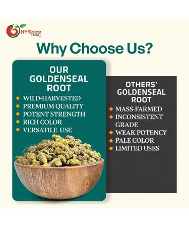 NY Spice Shop Goldenseal Root Herb Cut & Sifted - 1 Ounce Hydrastis Canadensis - Natural Cut & Sifted Herbal Supplement Wild Crafted Goldenseal - Sourced from Golden Seal Root Goldenseal Root Cut & Sifted 1 Ounce (Pack of 1) - Buy Online on GoSupps.com