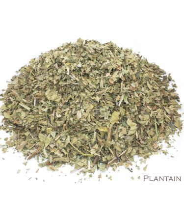 Plantain Leaf and Iron Goddess Oolong Tea Herbal Infusion (25 Unbleached Tea Bags - 50g) - Buy Online on GoSupps.com