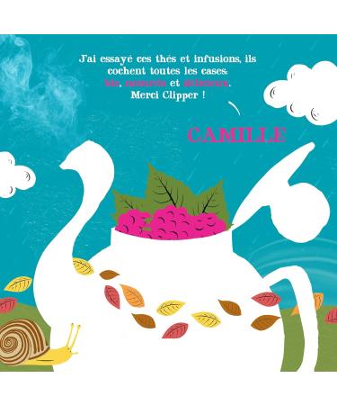 CLIPPER - Organic Green Tea - Splendid - Raspberry and Mint - 20 Organic Tea Bags - 1 pack - 35g - Buy Online on GoSupps.com