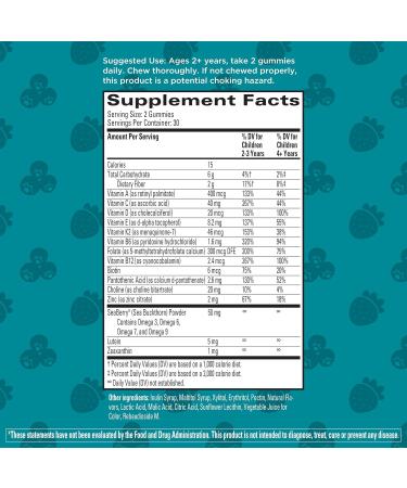 Hyland's Kids Multivitamin + Brain & Eye Health Sugar Free Natural Mixed Berry Flavored Gummies with Choline Lutein & Omegas 60ct Bottle - Buy Online on GoSupps.com