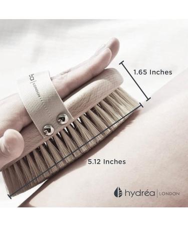 Hydr a London Professional Body Brush - Beech Wood & Cactus Bristles | FSC Certified | Eco-Friendly Travel Bag - Buy Online on GoSupps.com