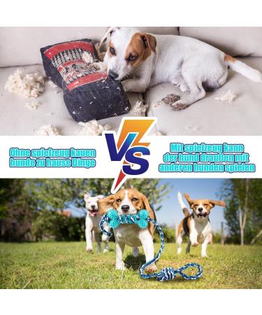 Bestomrogh Dog Toy - Interactive Natural Rubber Kisses with 48cm Long Rope for Teeth Cleaning | Ideal for Small Medium & Large Dogs - Buy Online on GoSupps.com