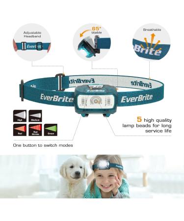 Everbrite LED Headlamp 2-Pack for Kids - Blue with Red & Green Light 5 Modes - Perfect Christmas Gifts for Camping & Outdoor Adventures Includes 6 AAA Batteries  - Buy Online on GoSupps.com