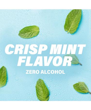 ACT Anticavity Fluoride Mouthwash with Zero Alcohol Prevents Cavities Freshens Breath & Strengthens Teeth Mint Flavor 18 fl. oz. 2 pk 18 Fl Oz (Pack of 2) - Buy Online on GoSupps.com