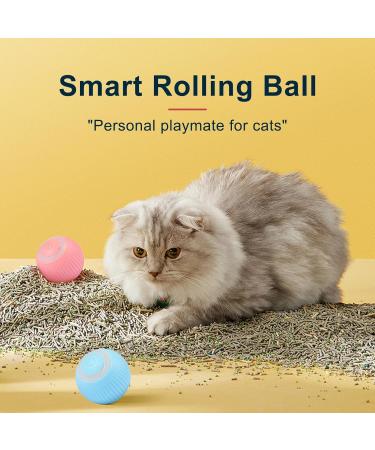 2PCS WLOOM CAT Ball 2.0 - Interactive Smart Pet Toy for Cats & Dogs | 360 Moving Electronic Ball | Best Hunting & Play Toy - Buy Online on GoSupps.com