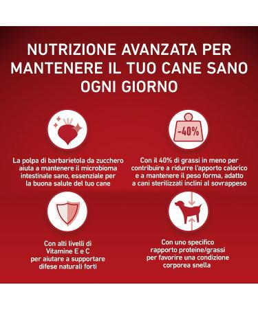 Purina One Medium/Maxi 10 kg Dog Food 4 Bags of 2.5 kg each - Buy Online on GoSupps.com