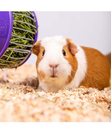 PETSPICK Aspen Soft Pet Bedding 24L - Cozy Bedding for Small Animals - Buy Online on GoSupps.com