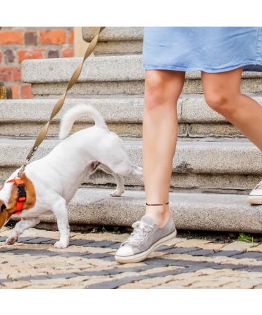 Buy EnerCoppeX Women's Copper Feet Chain - Pure Copper Magnetic Chain with 3500 Gauss Magnet | 24.5 cm (9.65 inches) for Enhanced Comfort - Buy Online on GoSupps.com