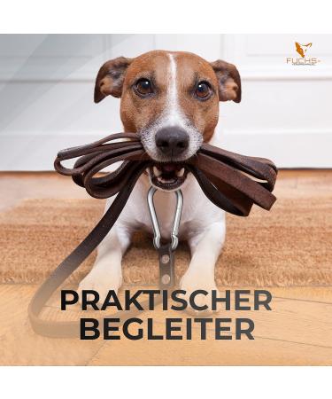 Stainless Steel Carabiner - 2 Pieces 230kg Load Capacity 80x8mm Fire Brigade Hook | AISI Sports & Transport - Buy Online on GoSupps.com