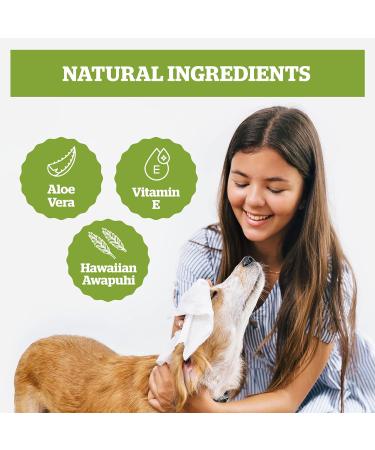 Pogis Care Cloths - 100 Biodegradable Desodorizing Wipes for Dogs - Extra Red Green Tea Fragrance - Buy Online on GoSupps.com