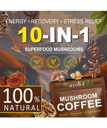 WLCTJIAYOU Mushroom Coffee Powder 10 Superfood Mushrooms Blend for Energy Recovery & Focus 39 Servings - 8.28 OZ - Buy Online on GoSupps.com