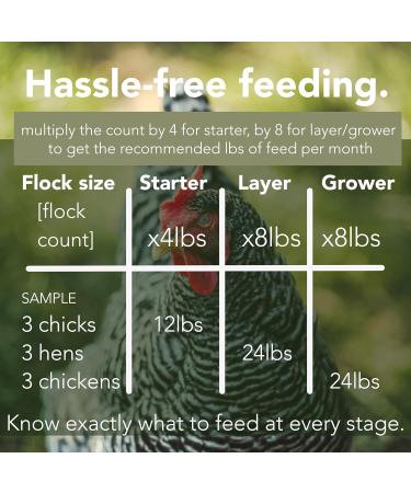 Graze Haven Layer Chicken Feed 2lbs - Organic Non-GMO Antibiotic-Free | Better Eggs Optimal Nutrition | High Protein Eco-Friendly | Made in Canada 907 g (Pack of 1) - Buy Online on GoSupps.com