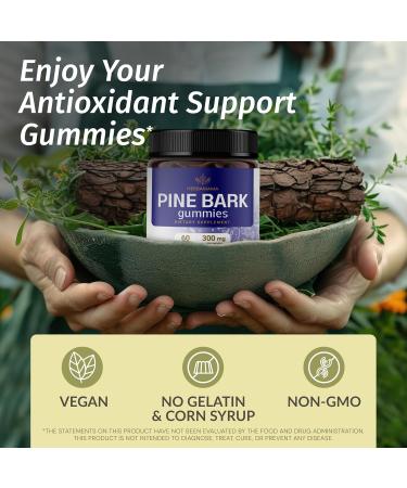 HERBAMAMA Pine Bark Extract Gummies - 300 mg Vegan Antioxidant Support - Non-GMO Blueberry Chews - 60 Count - Buy Online on GoSupps.com