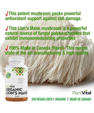 PlantVital Lions Mane Supplement Capsules - Organic Lion s Mane Mushroom Supplements with 40% Polysaccharides - Supports Immune Health and Antioxidants - 240 Count Lion's Mane 240 count (Pack of 1) - Buy Online on GoSupps.com