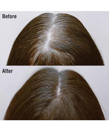 Kiss Root Cover Up Gray Concealer Spray 2 PACK (Medium Brown) - Temporary Hair Color Root Touch Up Dye 2.82 oz - Buy Online on GoSupps.com