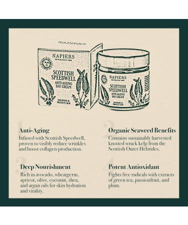 Napiers Speedwell Ageless Day Cream - Anti-Aging & Wrinkle Reduction with Scottish Speedwell & Organic Seaweed - 60ml - Buy Online on GoSupps.com
