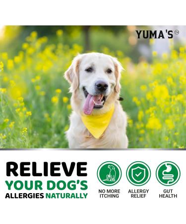 Dog Allergy Relief Chews - Dog Itching Skin Relief Treatment Pills - 170 Chews - Anti-Itch for Dogs - Itchy and Paw Licking - Dry Skin & Hot Spots - Omega 3 Fish Oil - Skin & Coat Supplement Chicken 170 Soft Chews - Buy Online on GoSupps.com