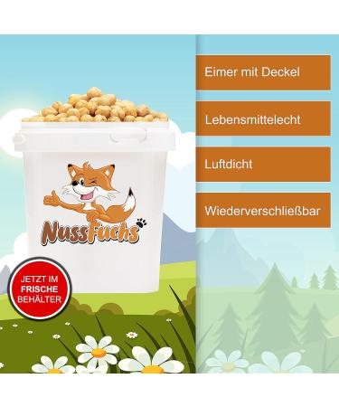 Premium Roasted Hazelnuts 3kg - Unsalted Hazelnut Kernels from Turkey | Perfect Snack & Cooking Ingredient - Nut Fox - Buy Online on GoSupps.com