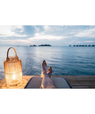 Lifestream Organic Barley Grass Powder 100g 100 g (Pack of 1) - Buy Online on GoSupps.com